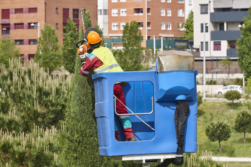 Как стать рабочим люльки и подъемника вышки в 2025 году: все о профессии, зарплате, где работать, форматы учебы