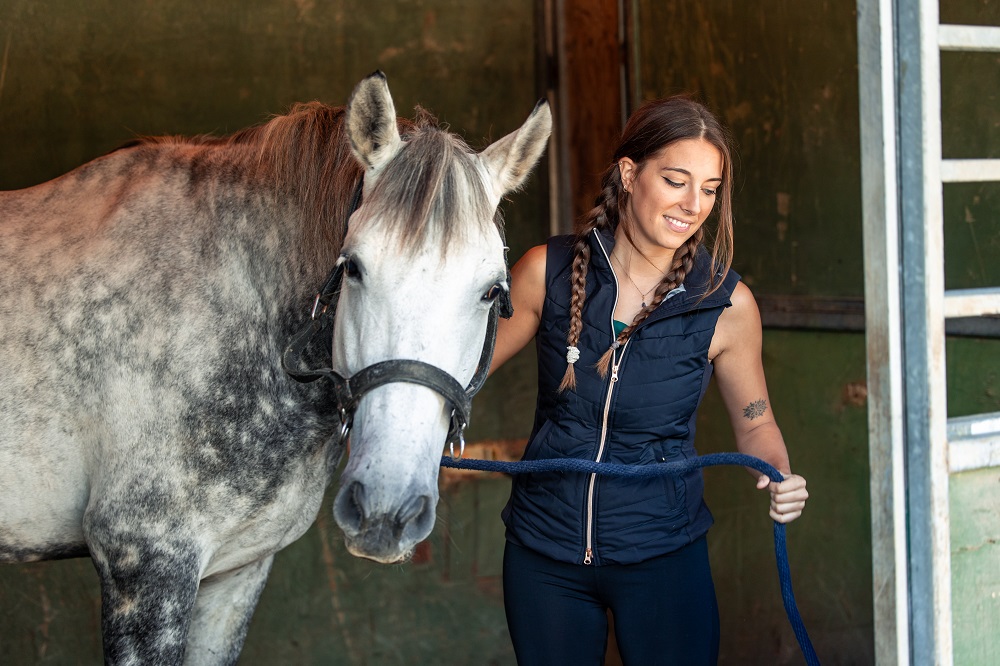 Как стать тренером лошадей: все о профессии, зарплате, где работать, форматы учебы в 2025 году