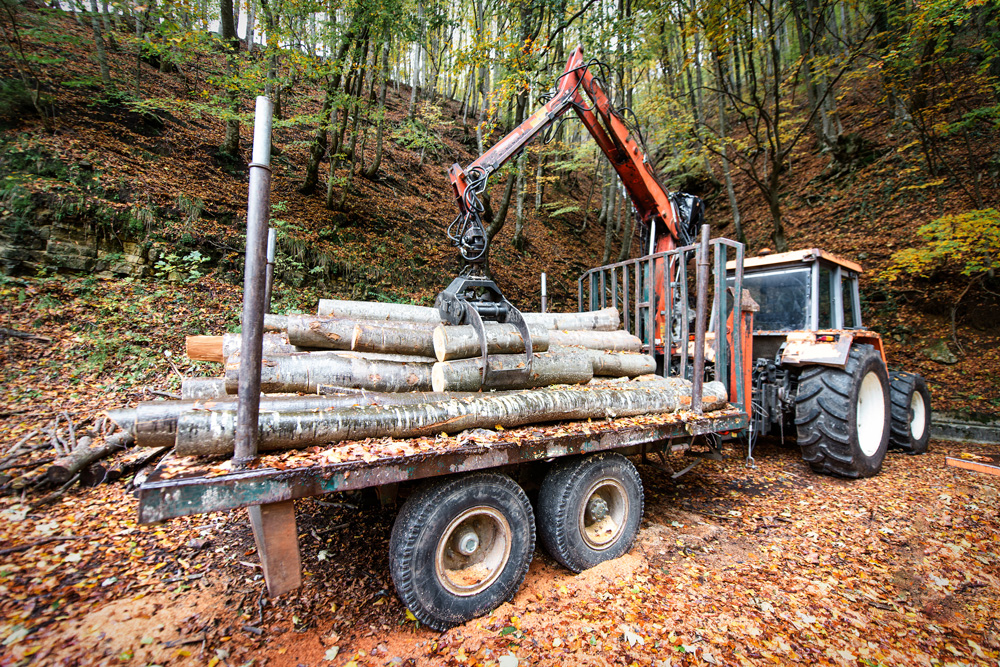 Машинист харвестера