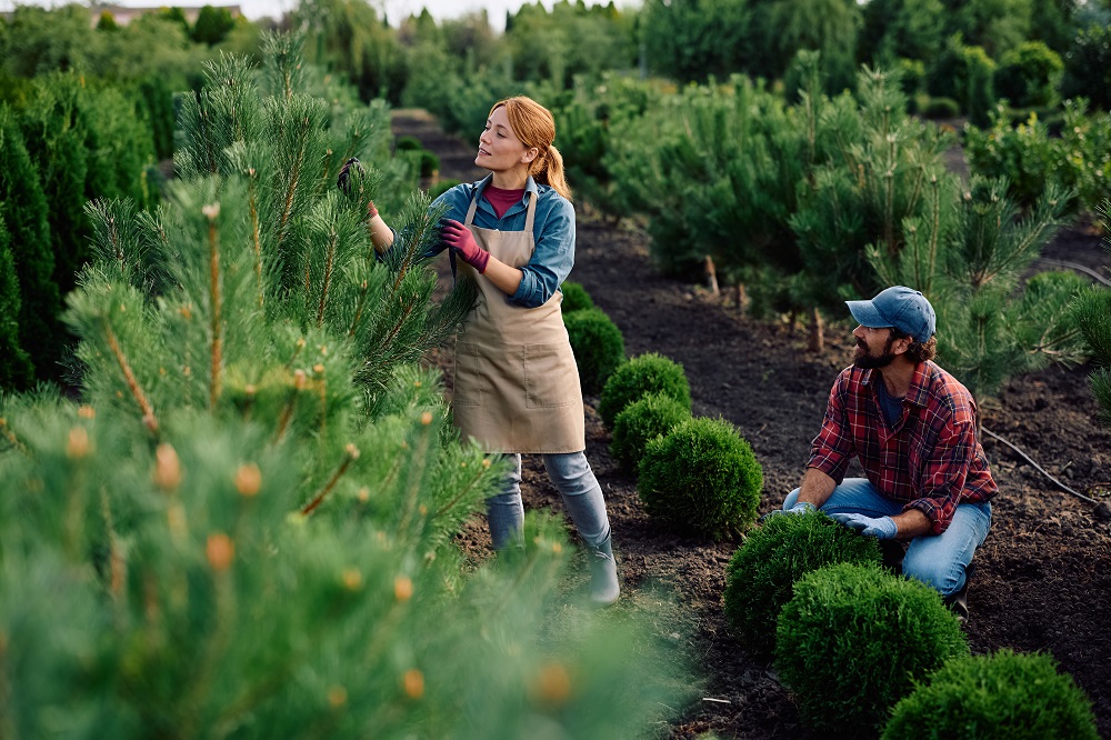 Как стать ландшафтным дизайнером: все о профессии, зарплате, где работать, форматы учебы в 2025 году