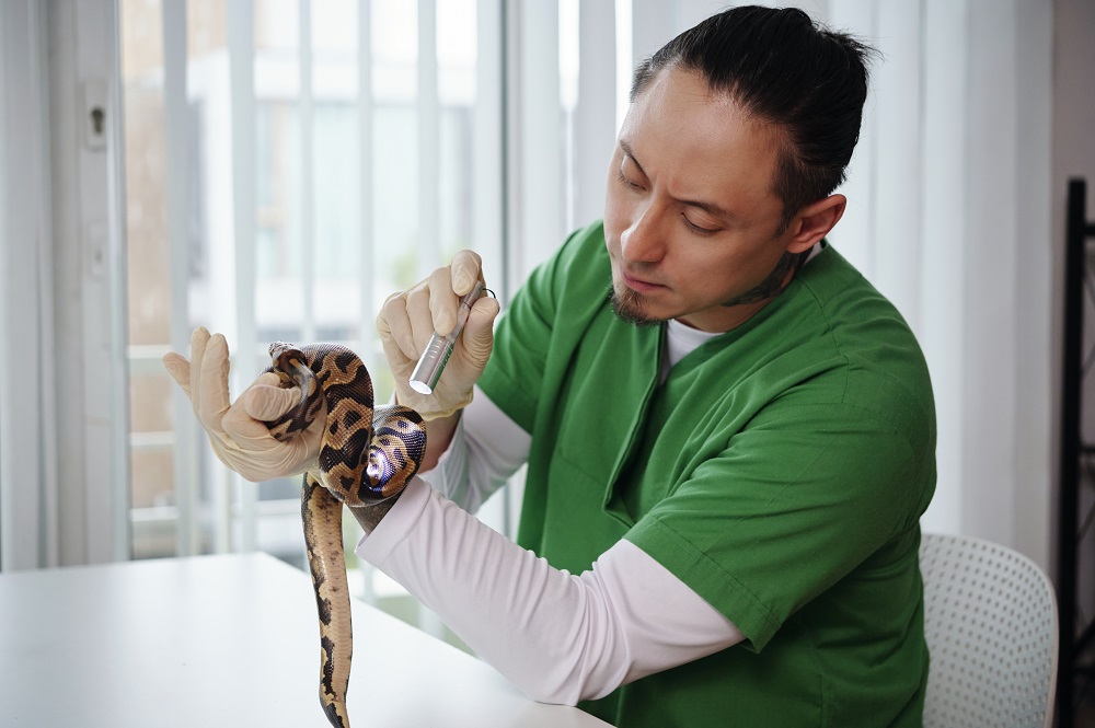 Герпетолог