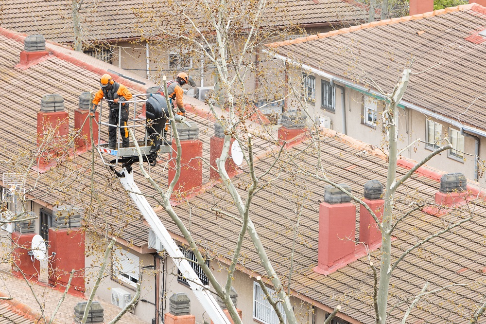 Как стать трубочистом: все о профессии, зарплате, где работать, форматы учебы в 2026 году