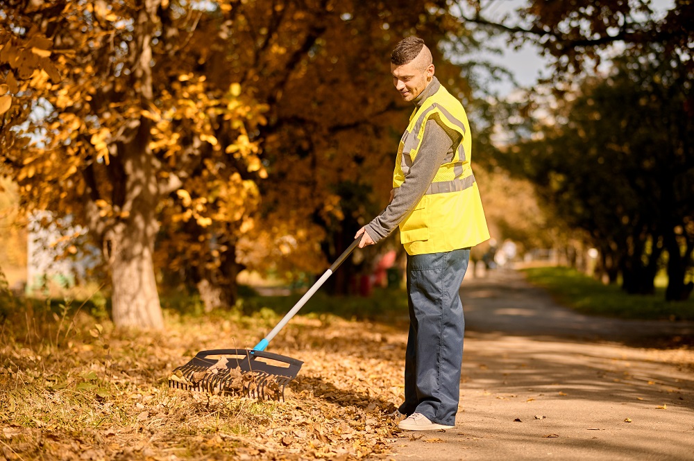 Как стать дворником: все о профессии, зарплате, где работать, форматы учебы в 2025 году