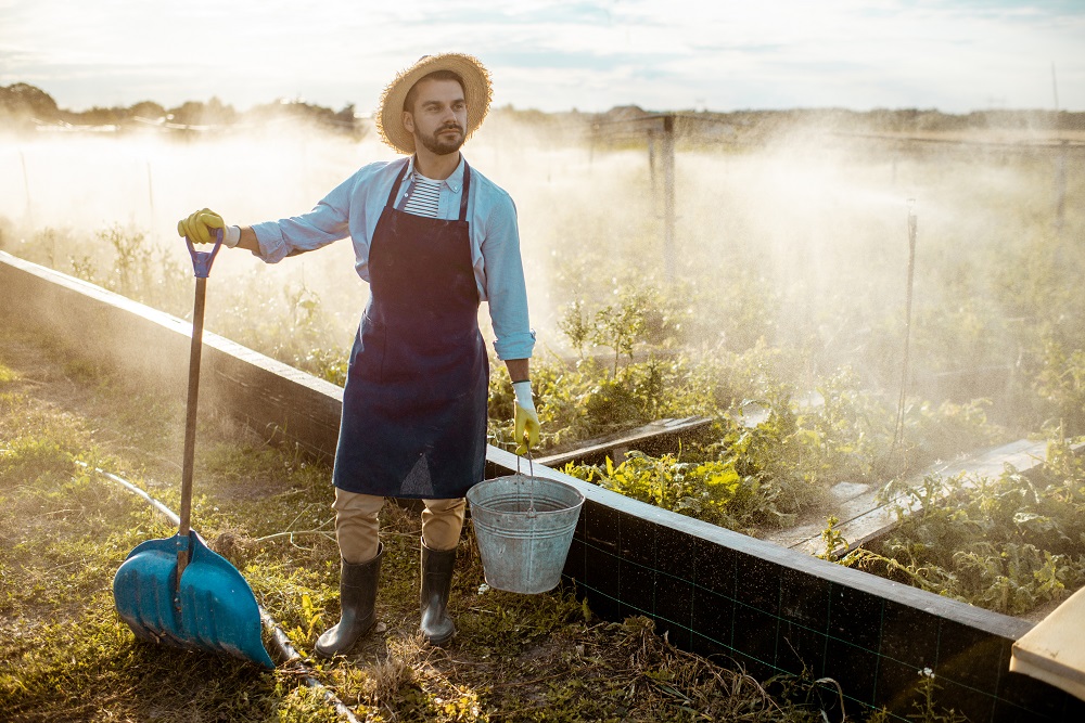 Рейтинг курсов для работы в деревне в 2025 году