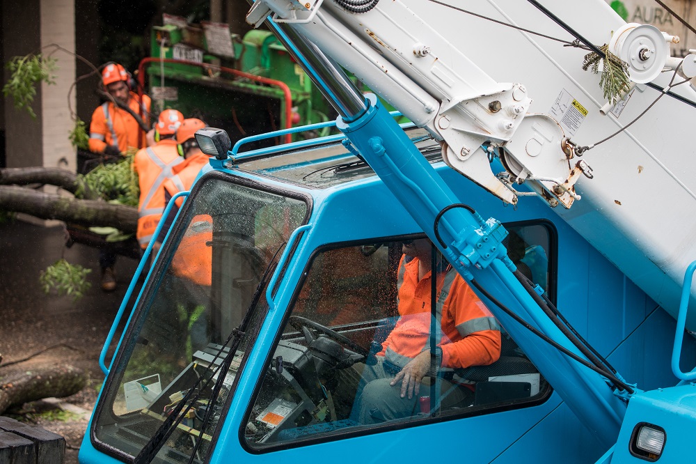 Как стать машинистом гусеничного крана: все о профессии, зарплате, где работать, форматы учебы в 2025 году